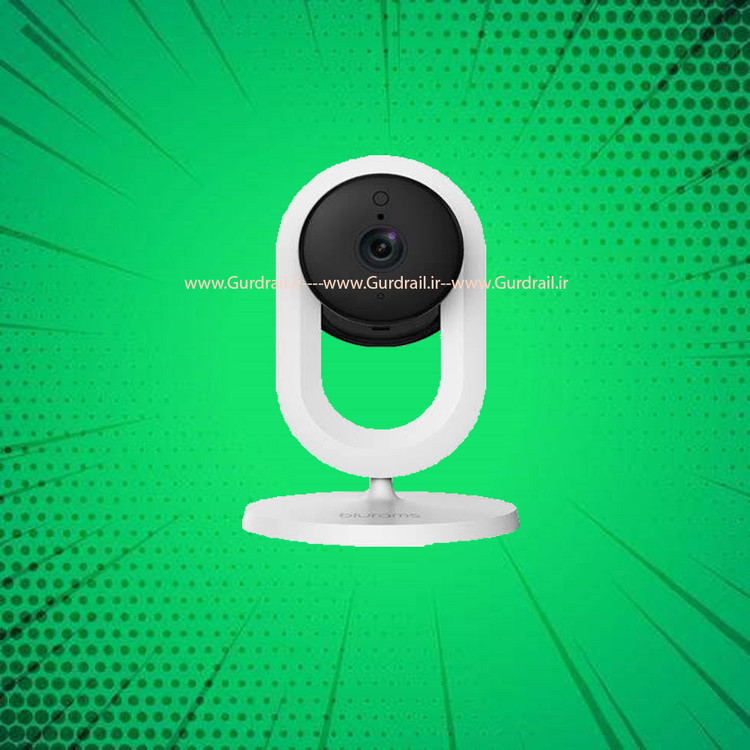 دوربین امنیتی تحت شبکه بلورم